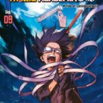 Vigilante-My-Hero-Academia-Illegals (5)